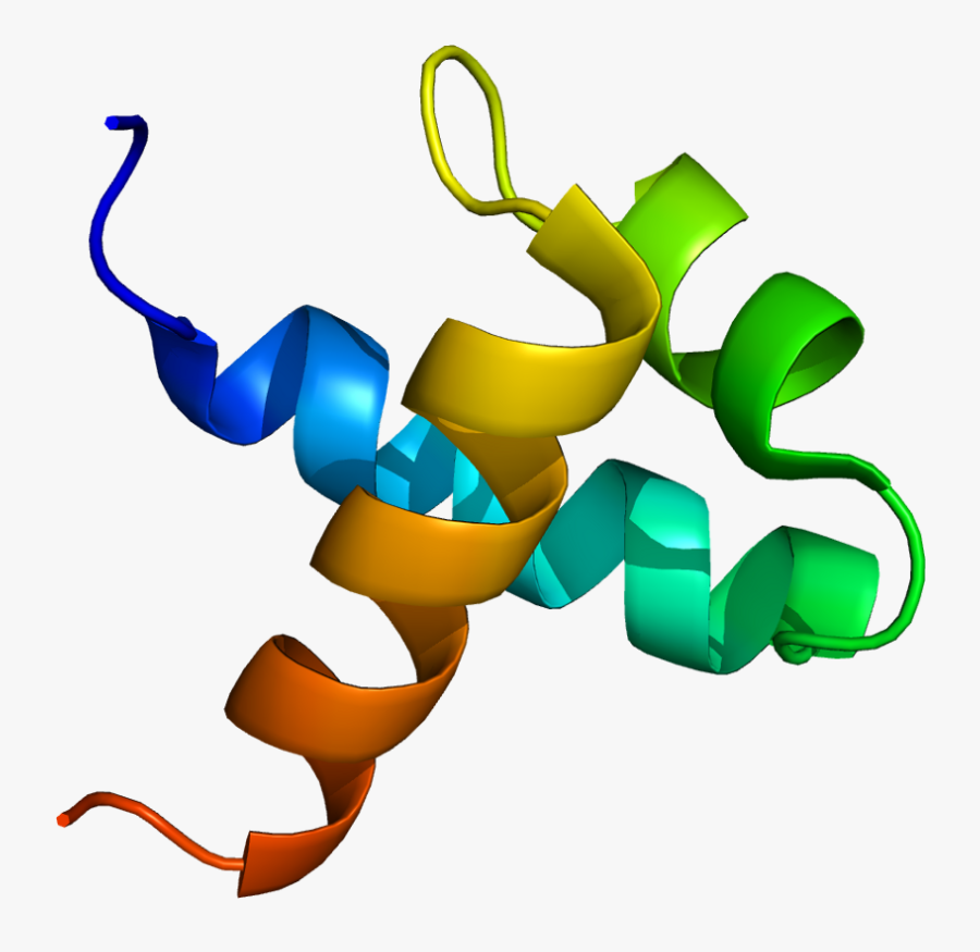 Protein Myb Pdb 1guu - Myb Protein, Transparent Clipart
