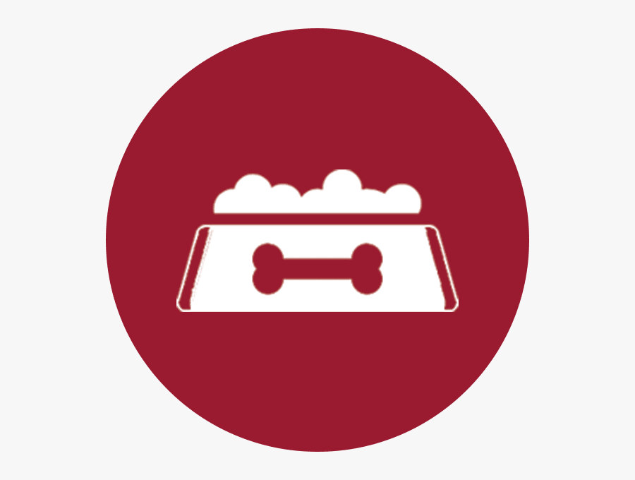 Healthy Dog Food Brands - Collegiate Times, Transparent Clipart