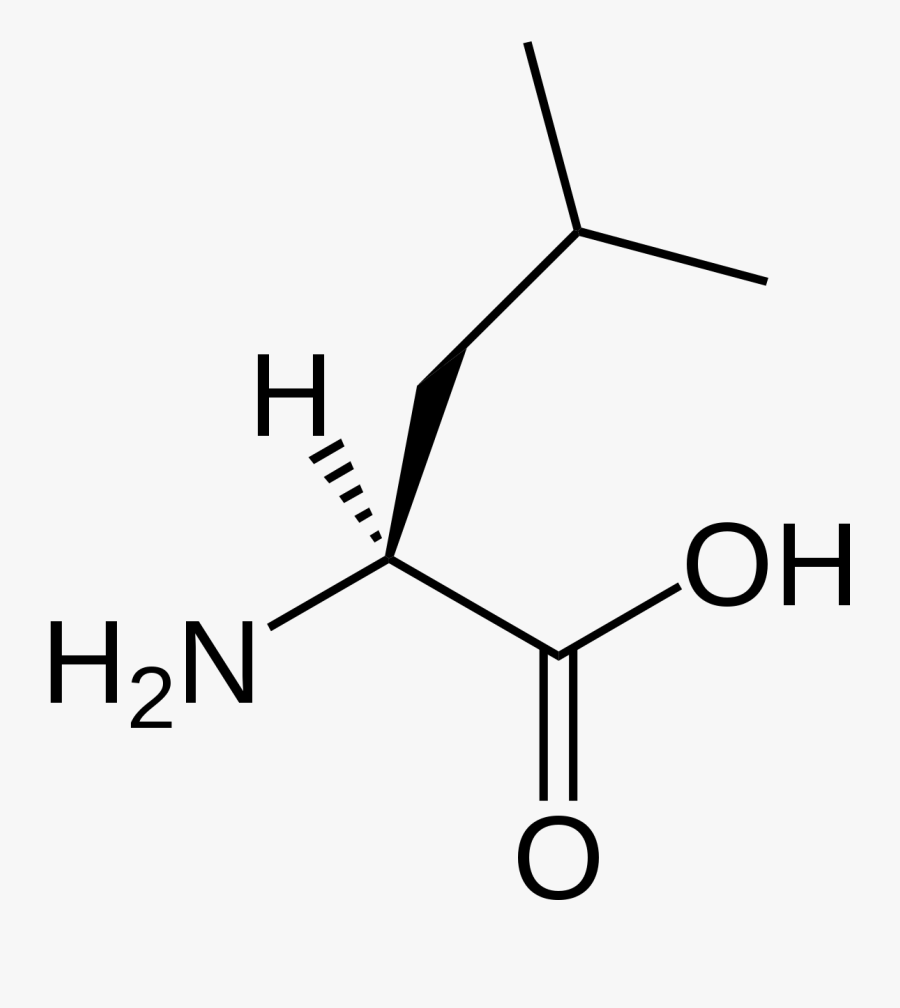 Estructura De La Leucina, Transparent Clipart