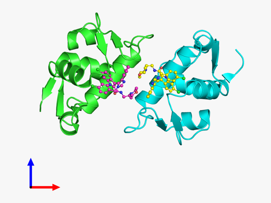 Protein Structure P53 Transparent, Transparent Clipart