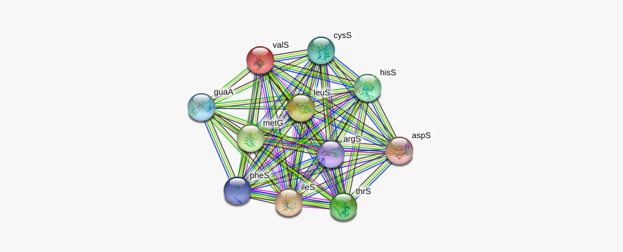 Vals Protein - Circle, Transparent Clipart