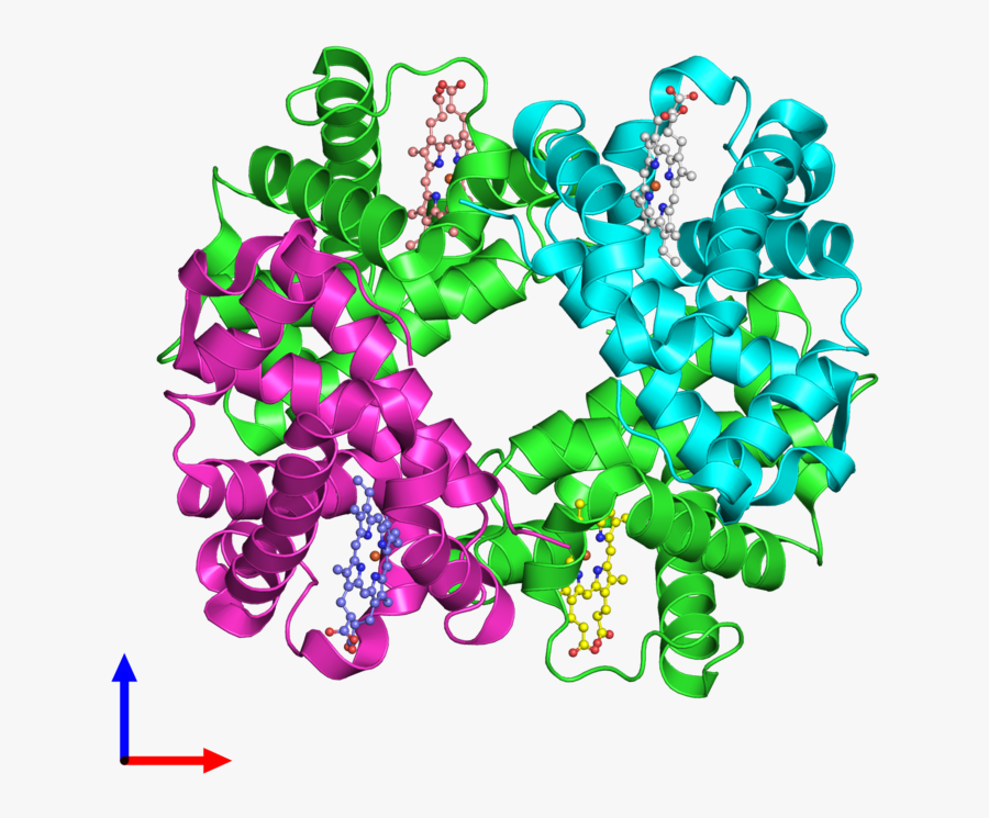 4hhb, Transparent Clipart