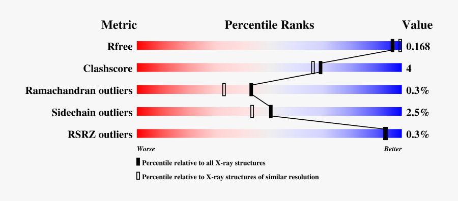 Diagram, Transparent Clipart