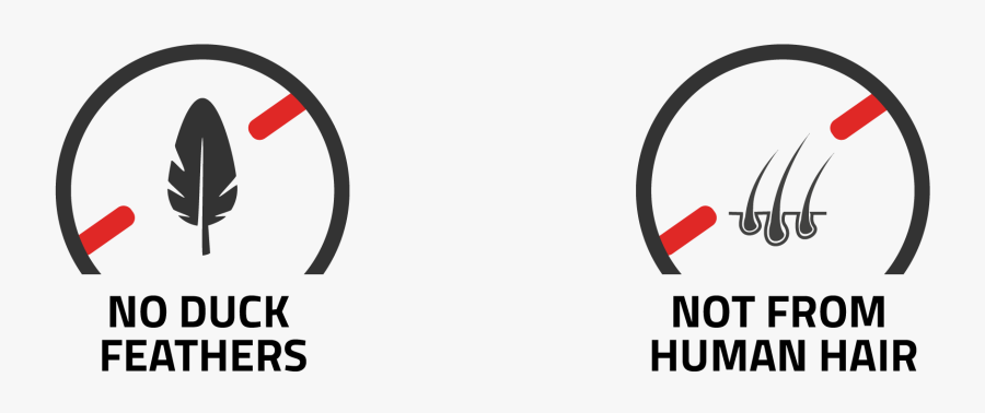 Circle, Transparent Clipart