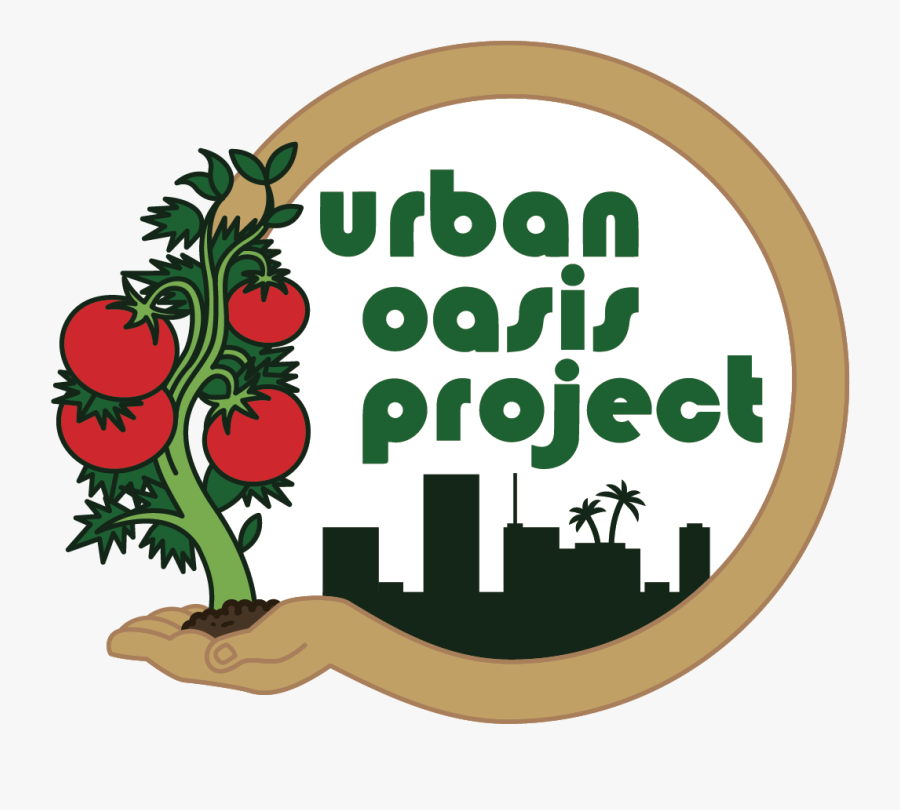 Picture - Urban Oasis Project Miami, Transparent Clipart