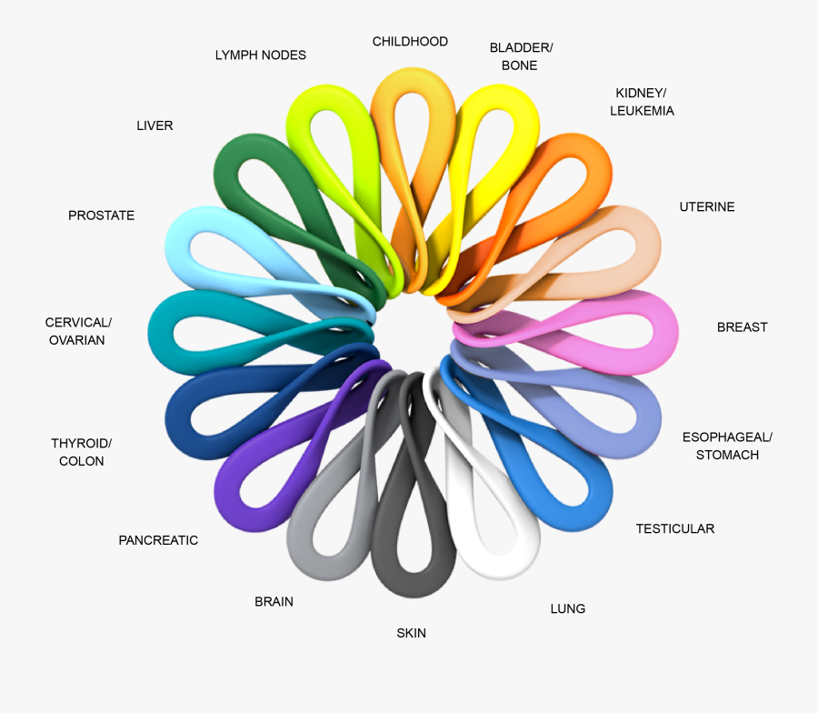 Circle, Transparent Clipart