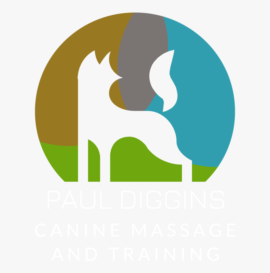 Logo Transparent White Writing Half Size - Graphic Design, Transparent Clipart