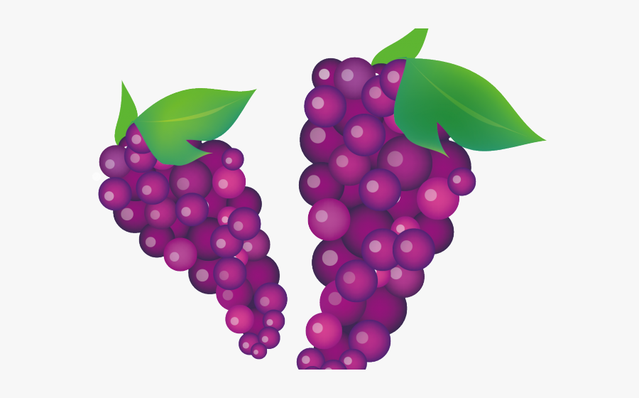 Grape Clipart Violet - Grape Vector Wine, Transparent Clipart