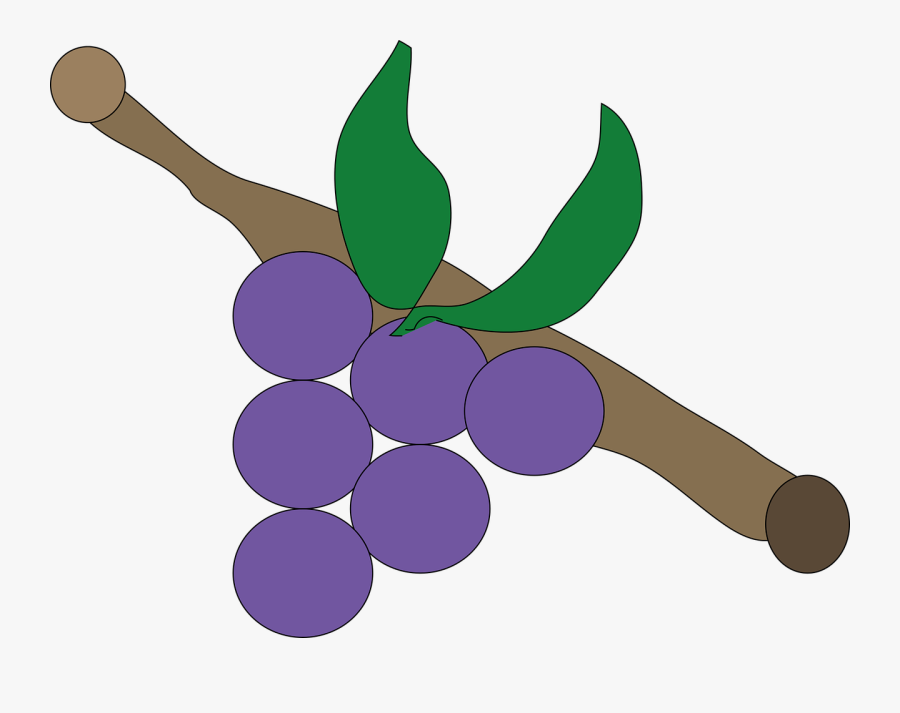 Grape Lila Purple Free Photo - Üzüm Çizim, Transparent Clipart