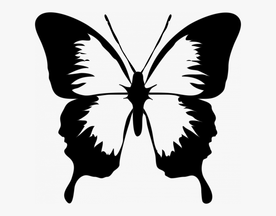 Butterfly Clip Art, Transparent Clipart