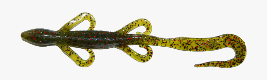 Lizard Lures, Transparent Clipart