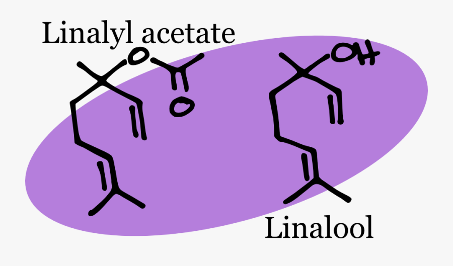 Structure Of Lavender Oil, Transparent Clipart