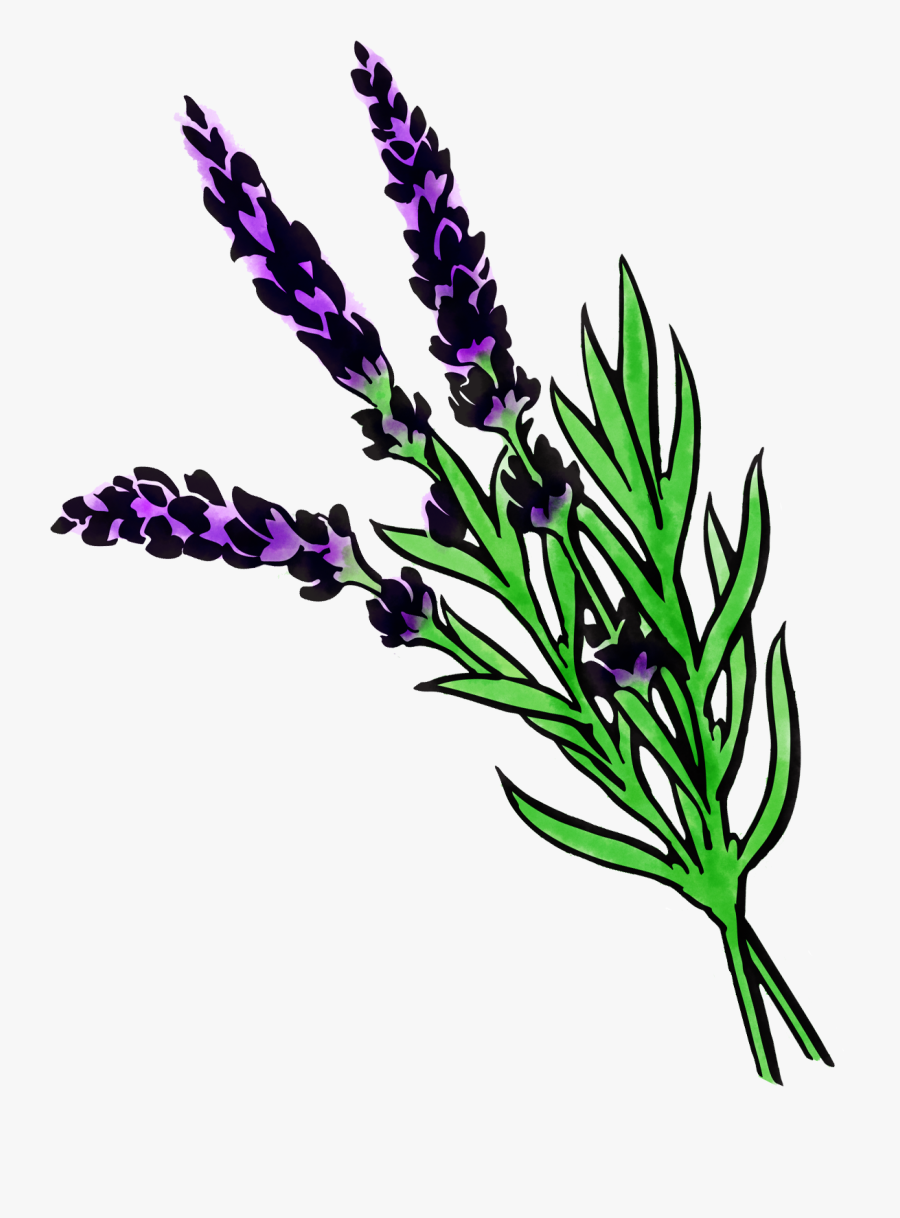 Image, Transparent Clipart