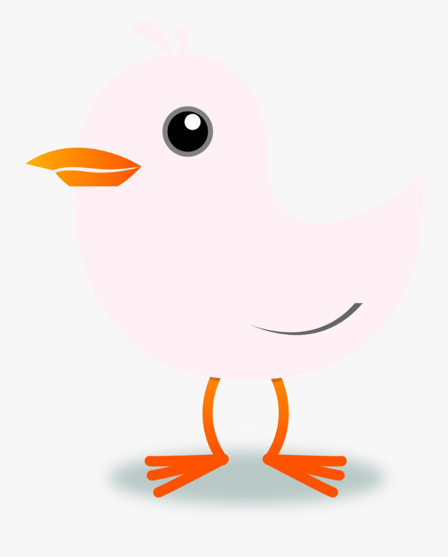 Tweet Twitter Bird Lavender Blush 1 Xochi - Cartoon, Transparent Clipart