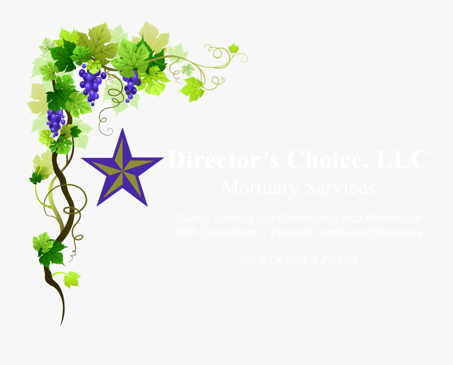 Vine Tree Border Vector, Transparent Clipart
