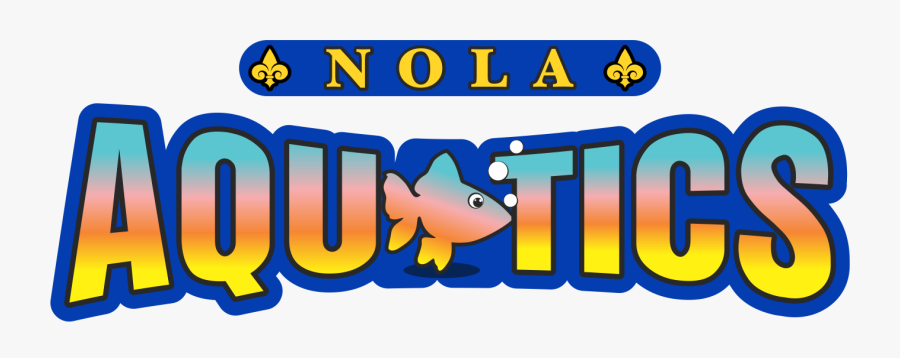 Aquatics & Swimming Stamford Ymca Clipart , Png Download, Transparent Clipart