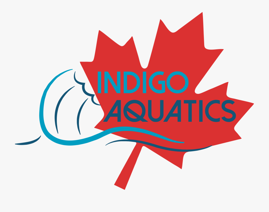 Transparent Canada Leaf Png, Transparent Clipart