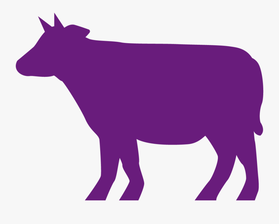Cattle, Transparent Clipart