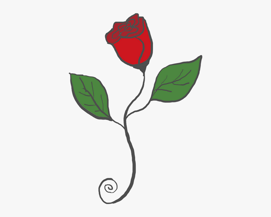 Hybrid Tea Rose, Transparent Clipart