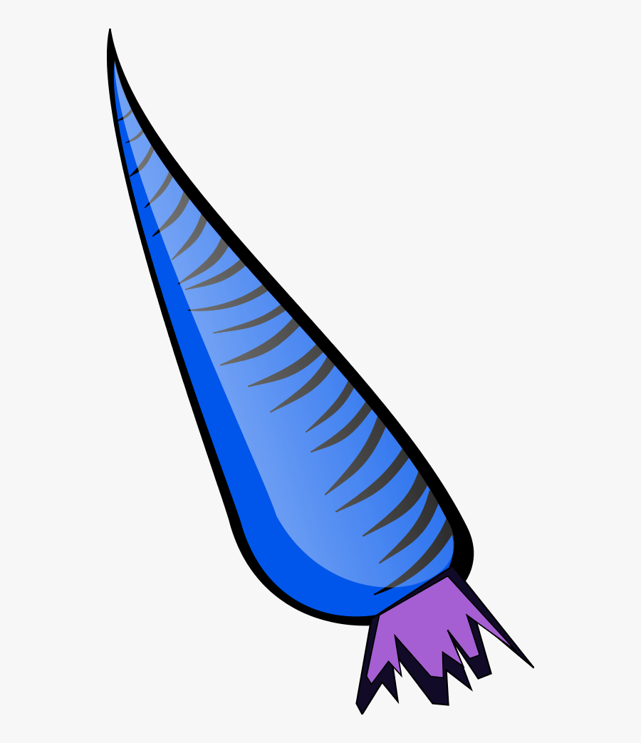 Vector Clip Art - Carrot Clip Art, Transparent Clipart