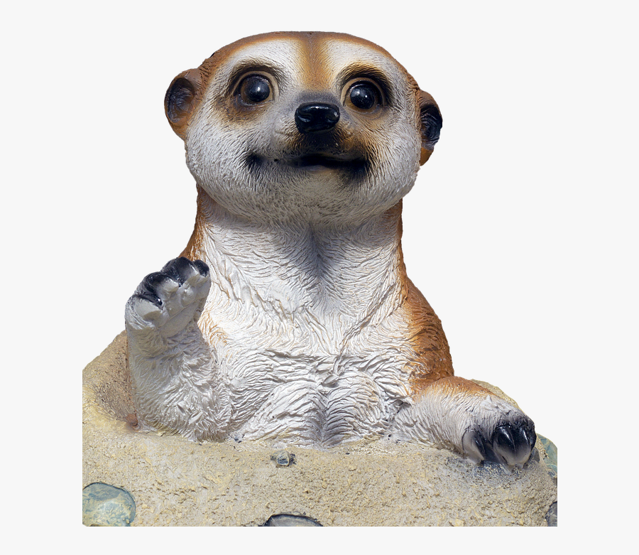Meerkat, Transparent Clipart