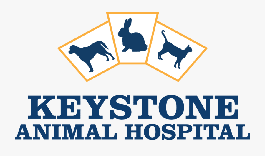 Keystone Animal Hospital - Hoshizaki, Transparent Clipart