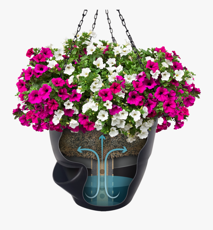 Self Watering Hanging Baskets Purple, Transparent Clipart
