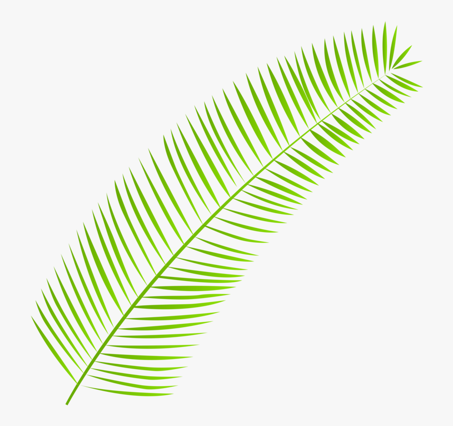 Palm-leaf - Clipart Palm Leaves Png, Transparent Clipart