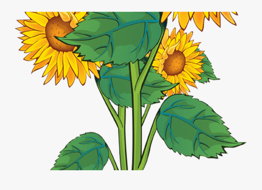 Summer Flower Border Clip Art Free Gardening Flower - Sunflower That Went Flop, Transparent Clipart
