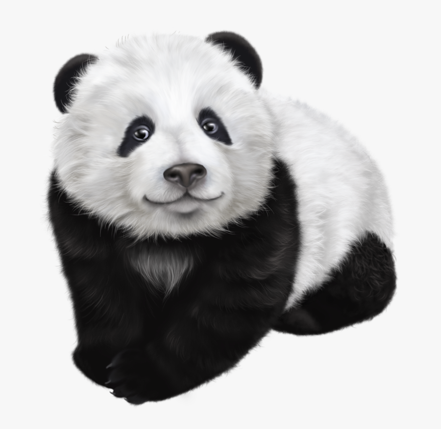 Giant Panda Drawing Illustration - Panda Png, Transparent Clipart