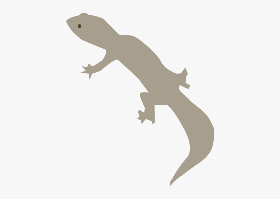 Gecko, Transparent Clipart