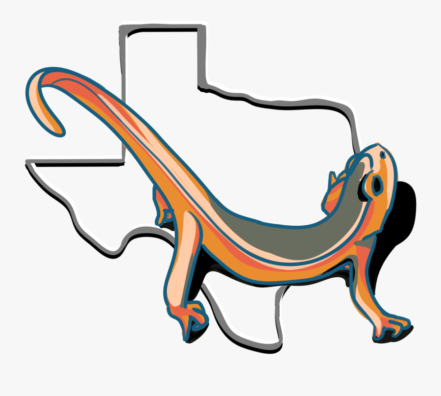 The Teaching Newt, Transparent Clipart