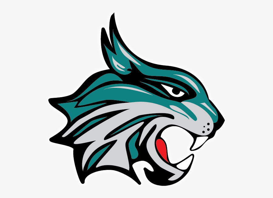 Cats Career Center Chapin Sc, Transparent Clipart