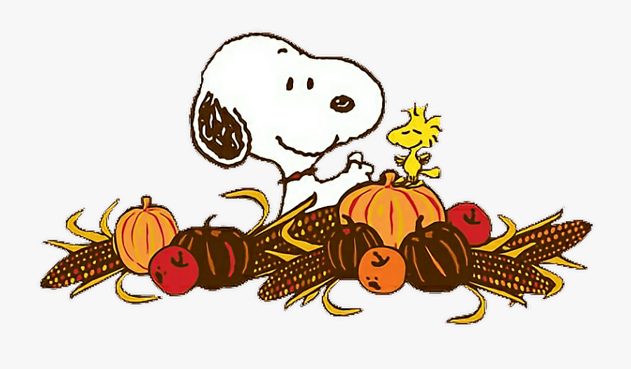 #happythanksgiving #thanksgiving #food #animal #pumpkin - Charlie Brown Thanksgiving Clipart, Transparent Clipart