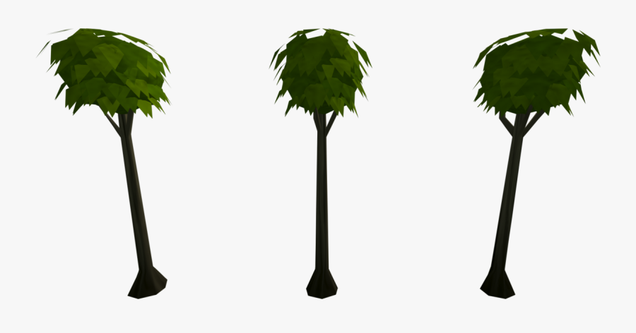 Palm Tree, Transparent Clipart