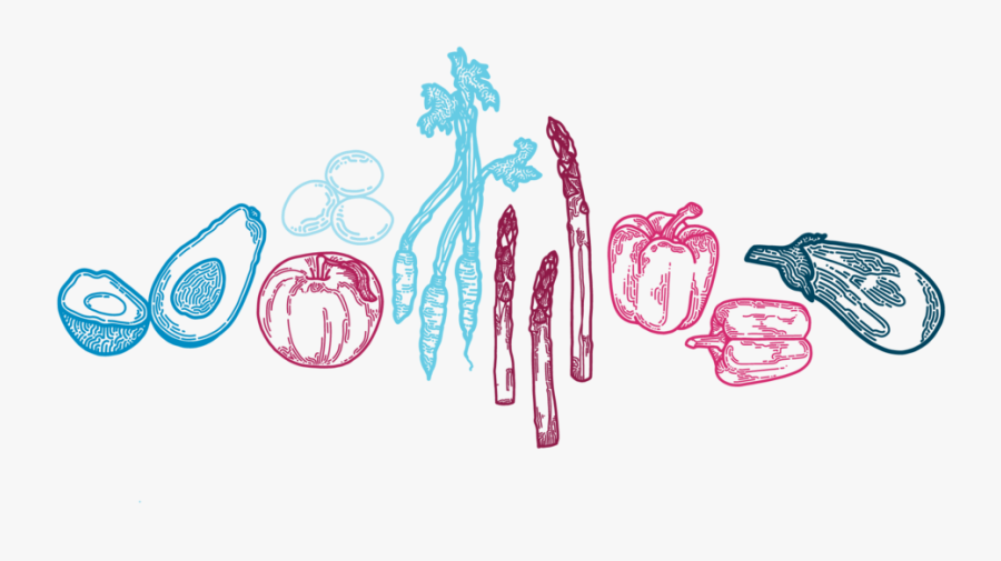 Illustration By Megan Rowe - Illustration, Transparent Clipart