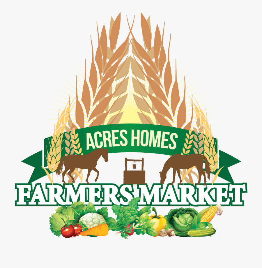 Canadian Mens Health Foundation, Transparent Clipart