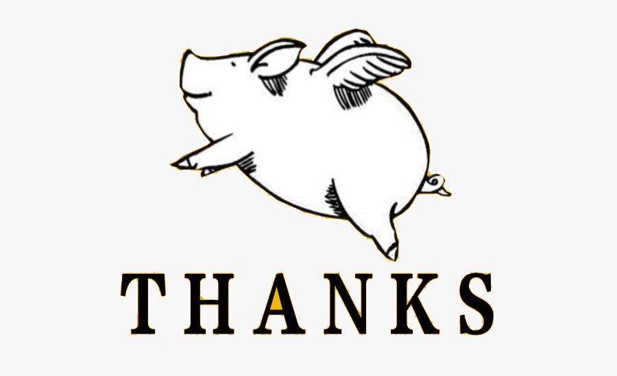 Domestic Pig Download - Cartoon, Transparent Clipart