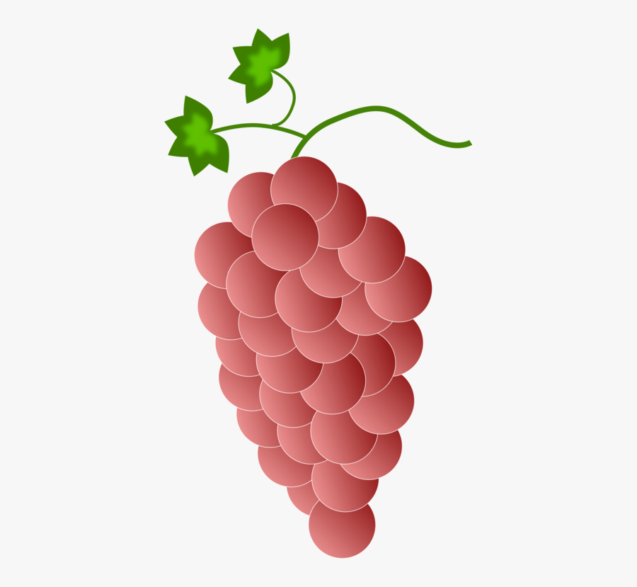 Seedless Fruit,grape Seed Extract,plant - Colored Clip Art Of Grapes, Transparent Clipart