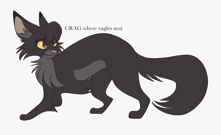 Black Cat, Transparent Clipart
