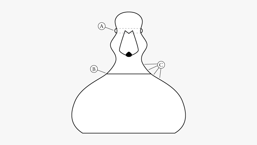 How To Make A Duck Decoy - Duck Carving Patterns, Transparent Clipart