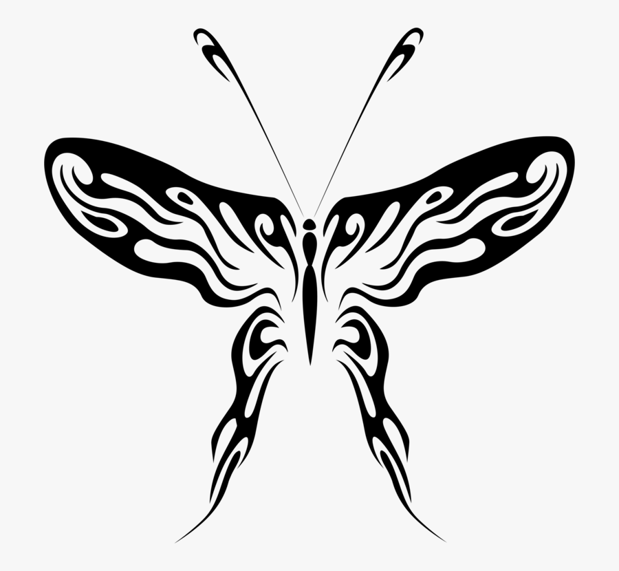 Symmetry,monochrome Photography,pollinator - Drawing Of Brush Footed Butterfly, Transparent Clipart