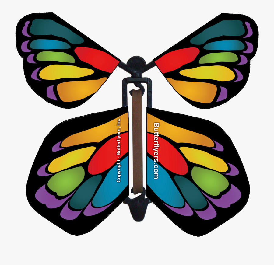 Flying Butterfly In Card, Transparent Clipart