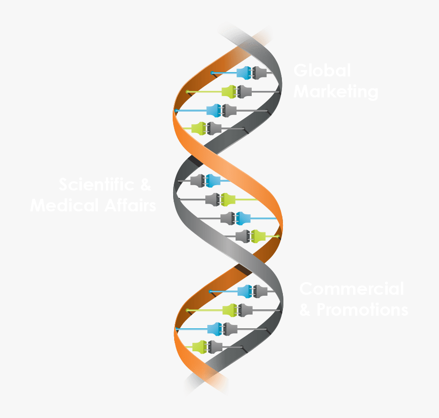 Graphic Design, Transparent Clipart