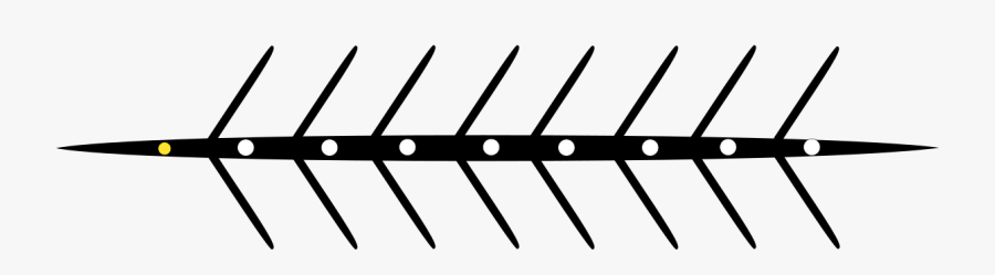 Rowing Eight Vector, Transparent Clipart