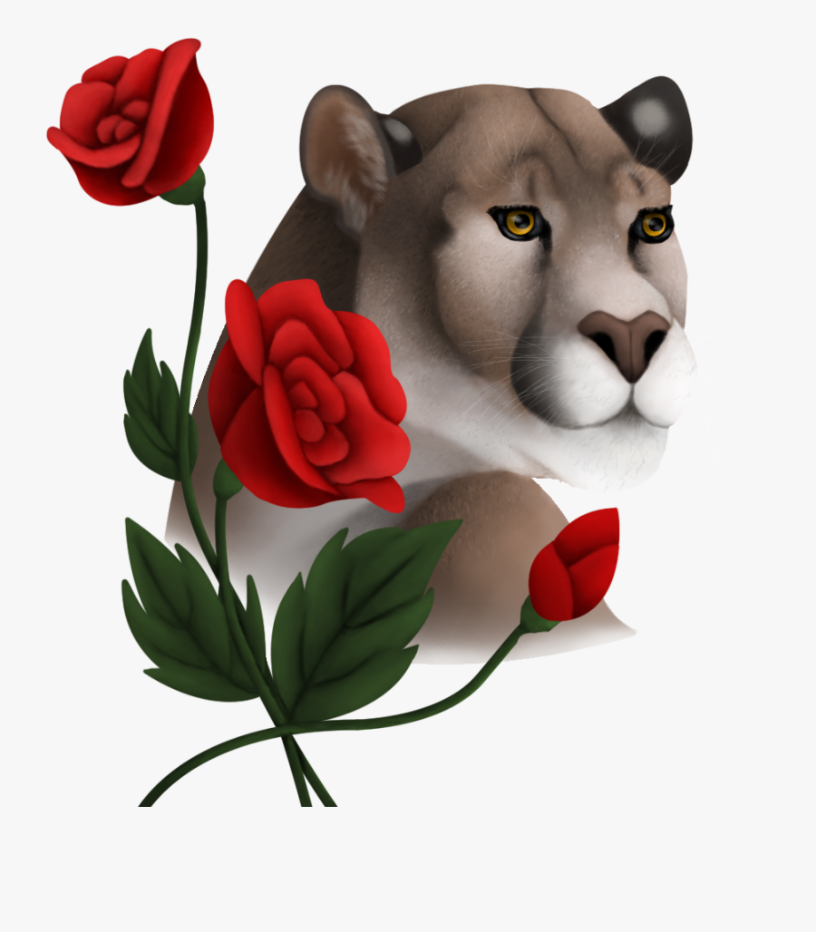 Garden Roses, Transparent Clipart