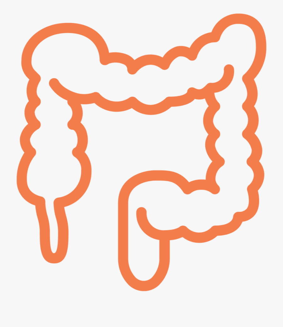 Colon Ecm Cell Culture Substrates - Colonoscopy Icon, Transparent Clipart