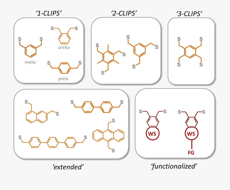Scaffolds - Methoxy Group Of Lignin, Transparent Clipart