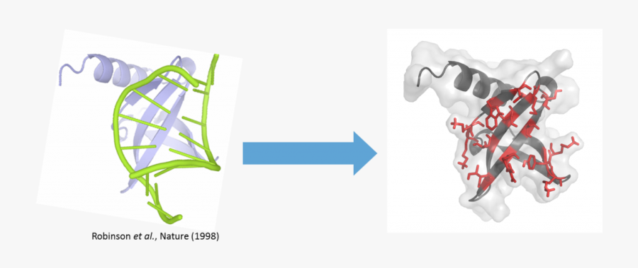 Origin Nvlle Nano - Protéine De La Charpente, Transparent Clipart