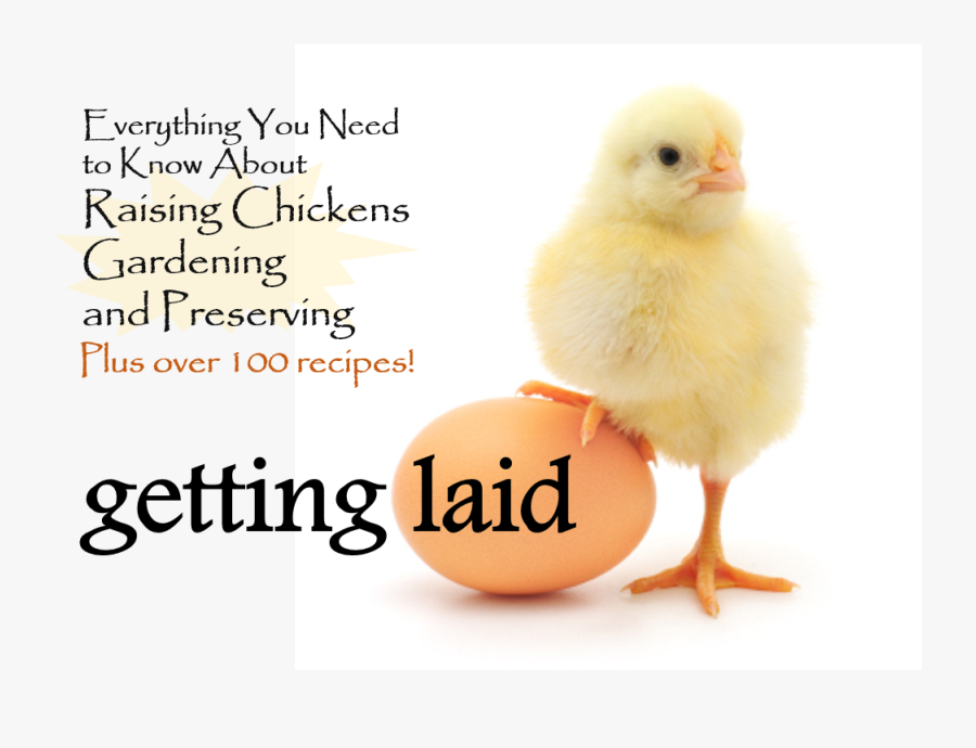 Transparent Peach Cobbler Clipart - Poultry, Transparent Clipart